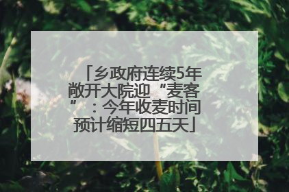 乡政府连续5年敞开大院迎“麦客”：今年收麦时间预计缩短四五天