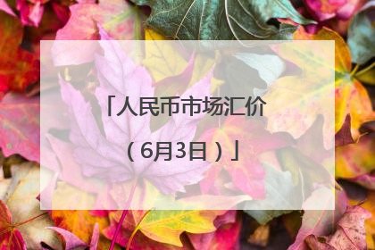 人民币市场汇价（6月3日）