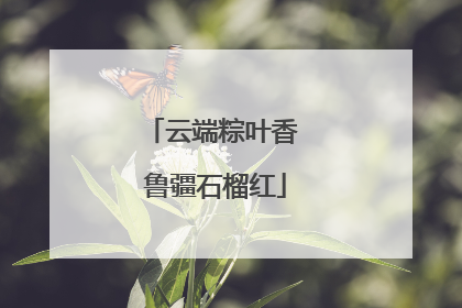 云端粽叶香 鲁疆石榴红