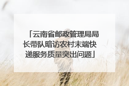 云南省邮政管理局局长带队暗访农村末端快递服务质量突出问题