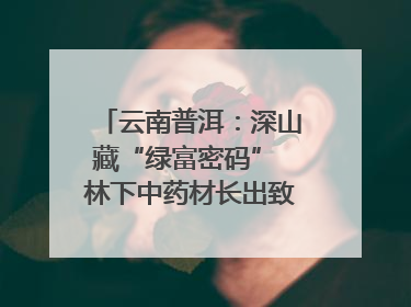 云南普洱：深山藏“绿富密码” 林下中药材长出致富新图景