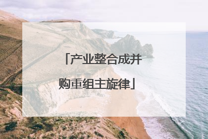 产业整合成并购重组主旋律