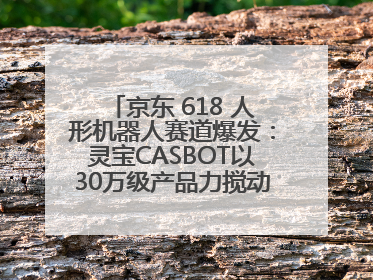 京东 618 人形机器人赛道爆发：灵宝CASBOT以30万级产品力搅动行业新变局
