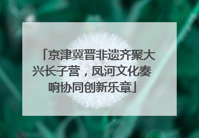 京津冀晋非遗齐聚大兴长子营，凤河文化奏响协同创新乐章