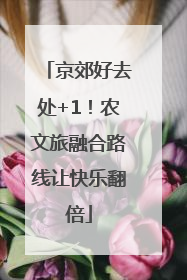 京郊好去处+1！农文旅融合路线让快乐翻倍