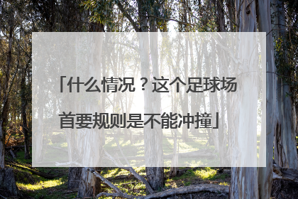 什么情况？这个足球场首要规则是不能冲撞