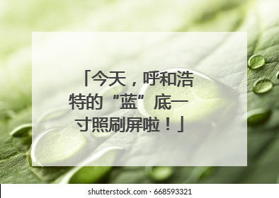 今天，呼和浩特的“蓝”底一寸照刷屏啦！