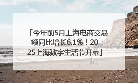 今年前5月上海电商交易额同比增长6.1%！2025上海数字生活节开幕