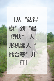 从“站得稳”到“起得快” 人形机器人“擂台赛”开打