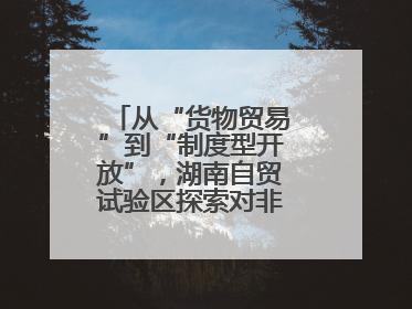 从“货物贸易”到“制度型开放”，湖南自贸试验区探索对非合作新模式