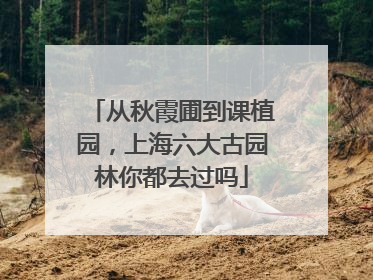 从秋霞圃到课植园，上海六大古园林你都去过吗