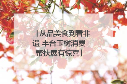 从品美食到看非遗 丰台玉树消费帮扶展有惊喜