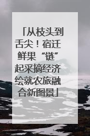 从枝头到舌尖！宿迁鲜果“链”起采摘经济绘就农旅融合新图景