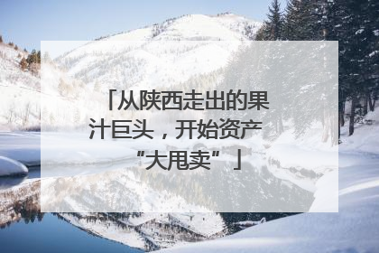 从陕西走出的果汁巨头，开始资产“大甩卖”