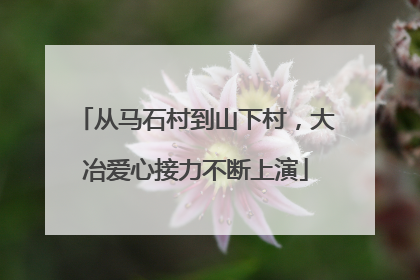 从马石村到山下村，大冶爱心接力不断上演