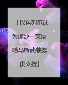 以色列承认为加沙一支反哈马斯武装提供支持