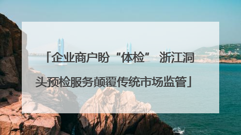 企业商户盼“体检” 浙江洞头预检服务颠覆传统市场监管