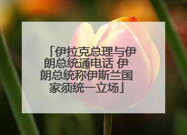伊拉克总理与伊朗总统通电话 伊朗总统称伊斯兰国家须统一立场