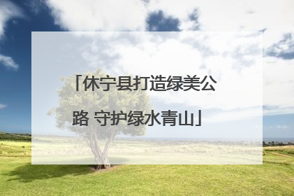 休宁县打造绿美公路 守护绿水青山