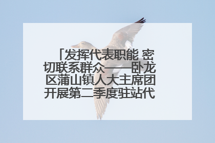 发挥代表职能 密切联系群众——卧龙区蒲山镇人大主席团开展第二季度驻站代表集中活动
