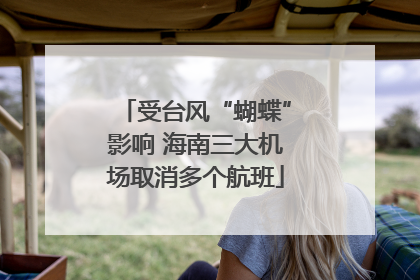 受台风“蝴蝶”影响 海南三大机场取消多个航班