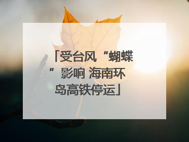 受台风“蝴蝶”影响 海南环岛高铁停运