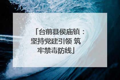 台前县侯庙镇：坚持党建引领 筑牢禁毒防线