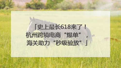 史上最长618来了！杭州跨境电商“爆单”，海关助力“秒级验放”