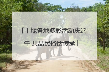 十堰各地多彩活动庆端午 共品民俗话传承