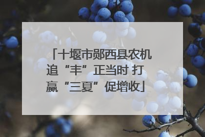 十堰市郧西县农机追“丰”正当时 打赢“三夏”促增收
