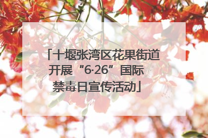 十堰张湾区花果街道开展“6·26”国际禁毒日宣传活动