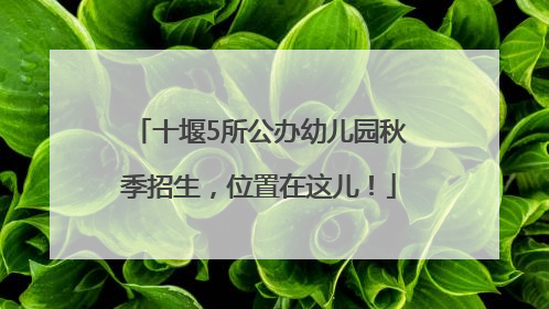 十堰5所公办幼儿园秋季招生，位置在这儿！