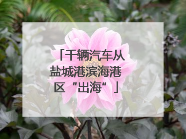 千辆汽车从盐城港滨海港区“出海”