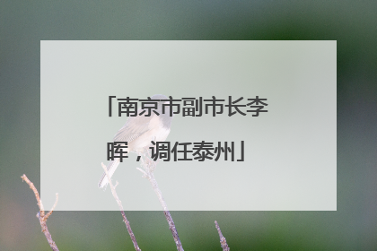 南京市副市长李晖,调任泰州