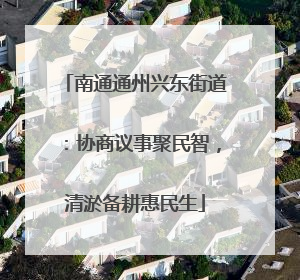 南通通州兴东街道：协商议事聚民智，清淤备耕惠民生