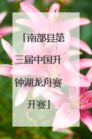南部县第三届中国升钟湖龙舟赛开赛