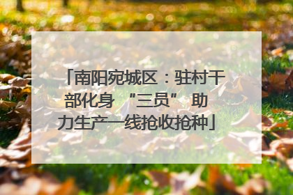 南阳宛城区：驻村干部化身 “三员” 助力生产一线抢收抢种