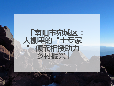 南阳市宛城区：大棚里的“土专家” 倾囊相授助力乡村振兴