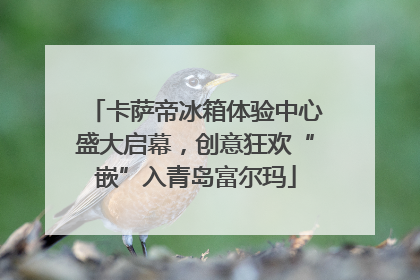 卡萨帝冰箱体验中心盛大启幕，创意狂欢“嵌”入青岛富尔玛