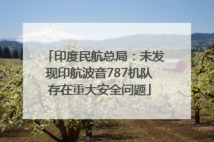 印度民航总局：未发现印航波音787机队存在重大安全问题