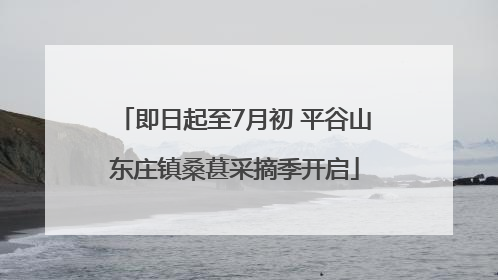 即日起至7月初 平谷山东庄镇桑葚采摘季开启