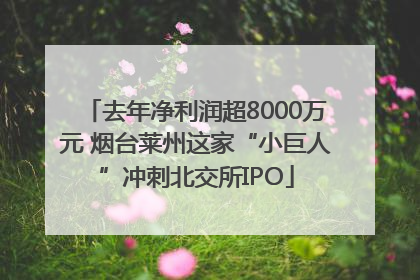 去年净利润超8000万元 烟台莱州这家“小巨人”冲刺北交所IPO