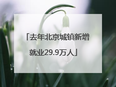 去年北京城镇新增就业29.9万人