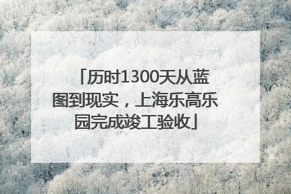 历时1300天从蓝图到现实，上海乐高乐园完成竣工验收