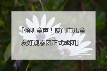 倾听童声！厦门市儿童友好观察团正式成团