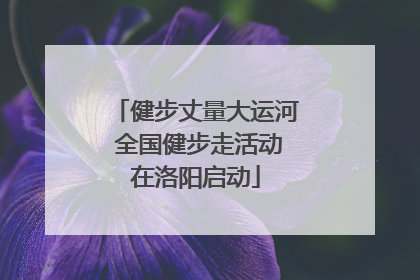 健步丈量大运河 全国健步走活动在洛阳启动