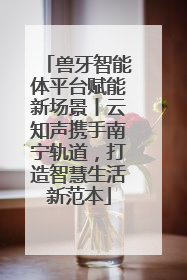兽牙智能体平台赋能新场景丨云知声携手南宁轨道，打造智慧生活新范本