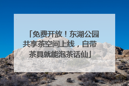 免费开放！东湖公园共享茶空间上线，自带茶具就能泡茶话仙
