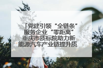 党建引领“全链条” 服务企业“零距离” 重庆市质标院助力新能源汽车产业链提升质量管理水平