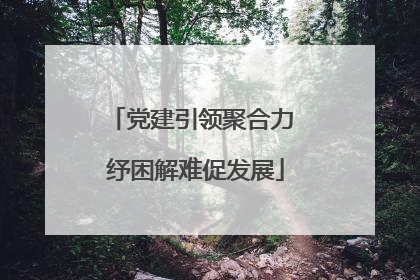 党建引领聚合力 纾困解难促发展
